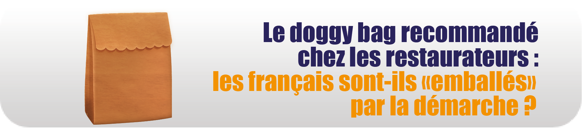 le boggy bag